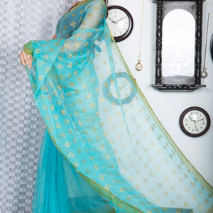 Soft Semi Organza Hand Block Print Saree