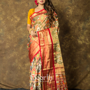 Multicolor Double Warp Patola Tissue Silk Saree