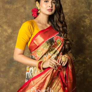 Multicolor Double Warp Patola Tissue Silk Saree