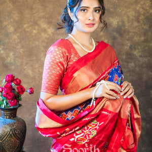 Blue Red Double Warp Patola Silk Saree