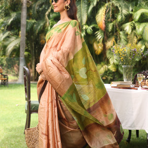 Prithvi (Earth) Saree