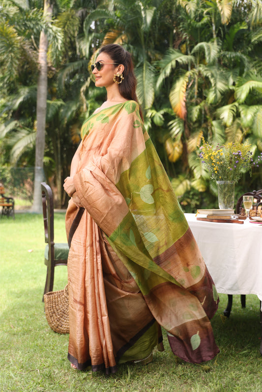 Prithvi (Earth) Saree