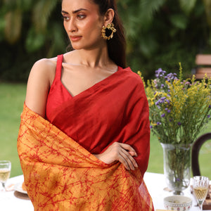 Agni (Fire) Saree