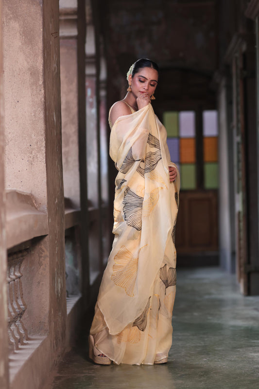 Aurea Petals Saree - Black
